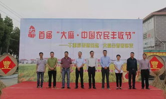 大麻稻田的新生機 農副產品的多元開發