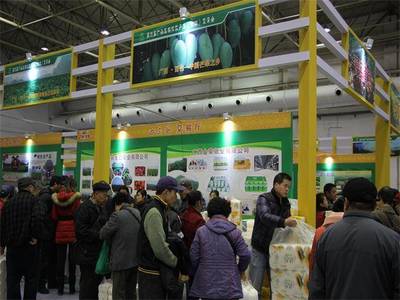 德合鑫農(nóng)副產(chǎn)品展銷會(huì)“廣西行”啟動(dòng)，首站落戶百色，助力農(nóng)副產(chǎn)品走向全國(guó)