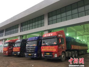 海口大型公益性農(nóng)副產(chǎn)品批發(fā)市場啟動(dòng)試運(yùn)營，39家一級(jí)批發(fā)商入駐開啟惠民新篇章