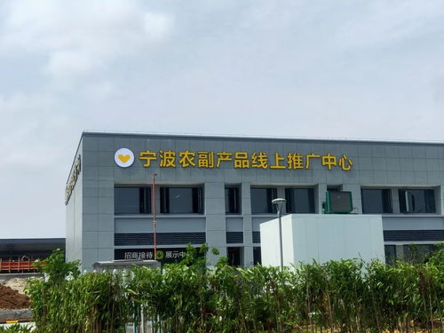 寧波農(nóng)副產(chǎn)品物流中心一期試運(yùn)營開啟 農(nóng)產(chǎn)品流通新樞紐，便捷交通指南助您暢行