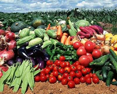 農(nóng)副產(chǎn)品“價(jià)賤傷農(nóng)”背后 價(jià)格低迷為何仍陷銷售困境？